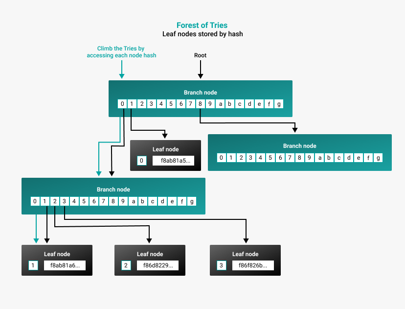 forest_of_tries